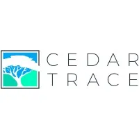 Cedar Trace Limited (Formerly Mereo Advisors Limited)
