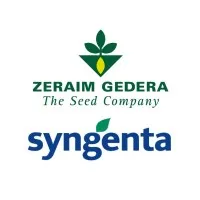 Zeraim Gedera-Syngenta