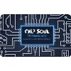 Chip Soul Technology (SMC-Private) Limited Chip Soul Technology (SMC-Private) Limited
