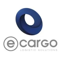 E-Cargo International Group Corp E-Cargo International Group Corp