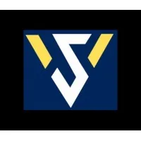 Swapnesh & Vinit, Chartered Accountants