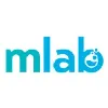 MortgagesLab Financial Inc. MortgagesLab Financial Inc.