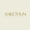 Aneethun Profissional Aneethun Profissional