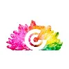 Color Communications, LLC