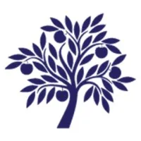 Ayur Financial Strategies