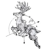 Relish Solution Group