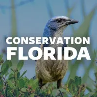 Conservation Florida