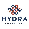 Hydra Consulting Hydra Consulting