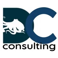 DeepCurrent Consulting DeepCurrent Consulting