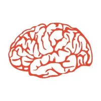 BrainTrust Business Training (Pty) Ltd