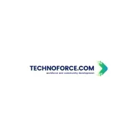 TECHNOFORCE LLC