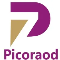 PICORAOD COMPANY LTD