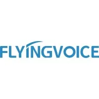 FLYINGVOICE NETWORKS FLYINGVOICE NETWORKS