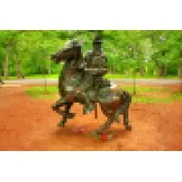 Longstreet Financial Inc