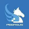 The Pegasus Group Company S.A.