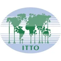 ITTO | International Tropical Timber Organization