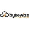 Bytewize IT Consulting Bytewize IT Consulting