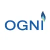 The Ogni Group The Ogni Group