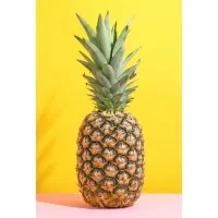 Simply Online Taylorsville, United States