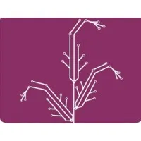 Amaranth Medical Analytics