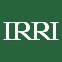 International Rice Research Institute email format