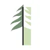 Investature
