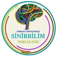 Ankara Üniversitesi Sinirbilim Topluluğu