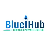 Blueihub IT Services Pvt Ltd