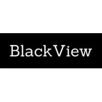 BlackView Capital Advisors