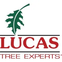 Lucas Tree Expert Co Lucas Tree Expert Co