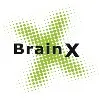 BrainX