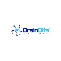 BrainBits LLC