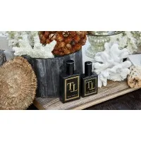 Tobi Tobin Corporation