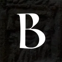 Byzantian Interactive, Inc.