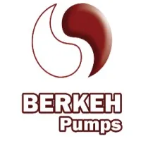 Berkeh Pumps