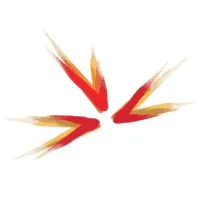 Ascent HR Technologies Private Limited