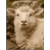 BerkshireStyle.com