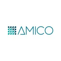 AMICO Group email format