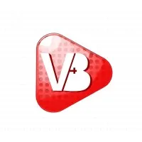 V4B.ai - AI First Video Ad & Content Agency