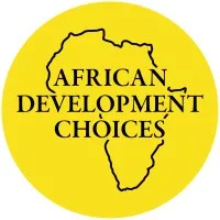 African Development Choices