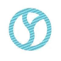 Cospirit Inc Cospirit Inc