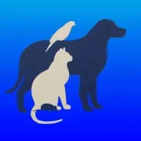 Central New Farm Veterinary Surgery