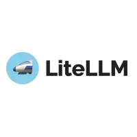 LiteLLM (YC W23)