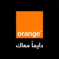 Orange Jordan