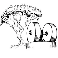 Queen Creek Olive Mill