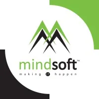 Mindsoft Innovations Pvt. Ltd.