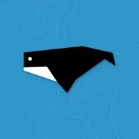 Carbon & Whale