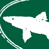 Dogfish Head Dogfish Head