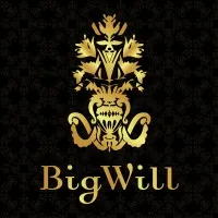 Big Will Group N.V. Big Will Group N.V.