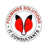 FOXMINDS Solutions LLC